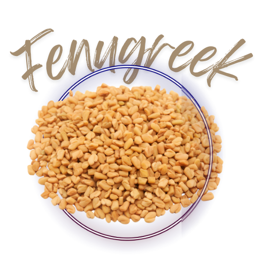 Fenugreek seeds in a glass bowl with 'Fenugreek' text above on a white background