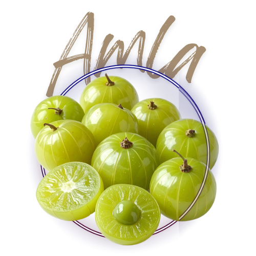 Green amla fruits on a white background with 'Amla' text.