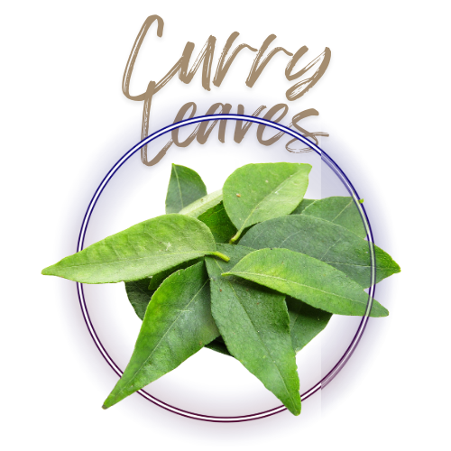 Green curry leaves on a white background with 'Curry Leaves' text.