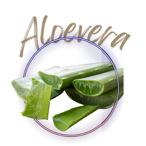 Sliced aloe vera with 'Aloevera' text on a white background